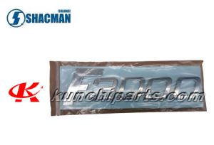 Shacman Delong F3000 Wortmarke